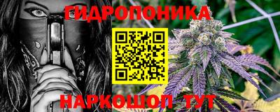 a pvp Гусев