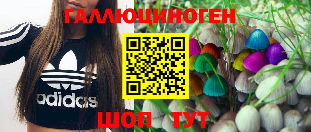 Новочебоксарск  Галлюциногенные грибы MAGIC MUSHROOMS  Псилоцибиновые грибы Cubensis  Вход с VPN 