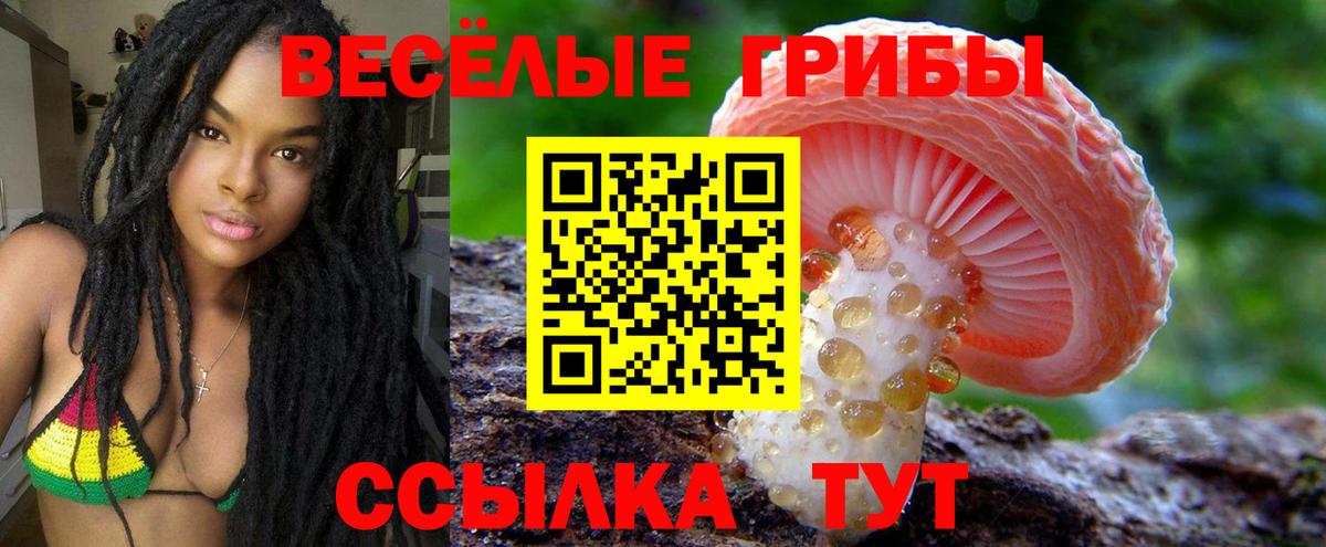 Псилоцибиновые грибы Psilocybine cubensis Новочебоксарск